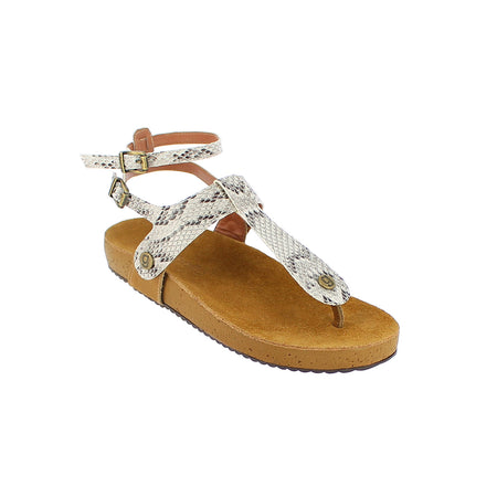 gal gl00 sole