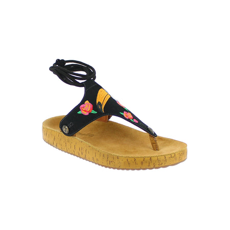 gal gl00 sole