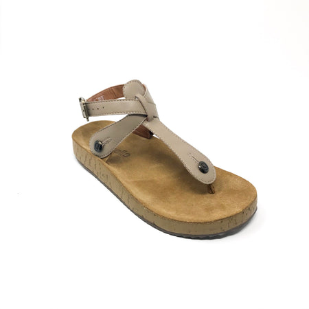 gal gl00 sole